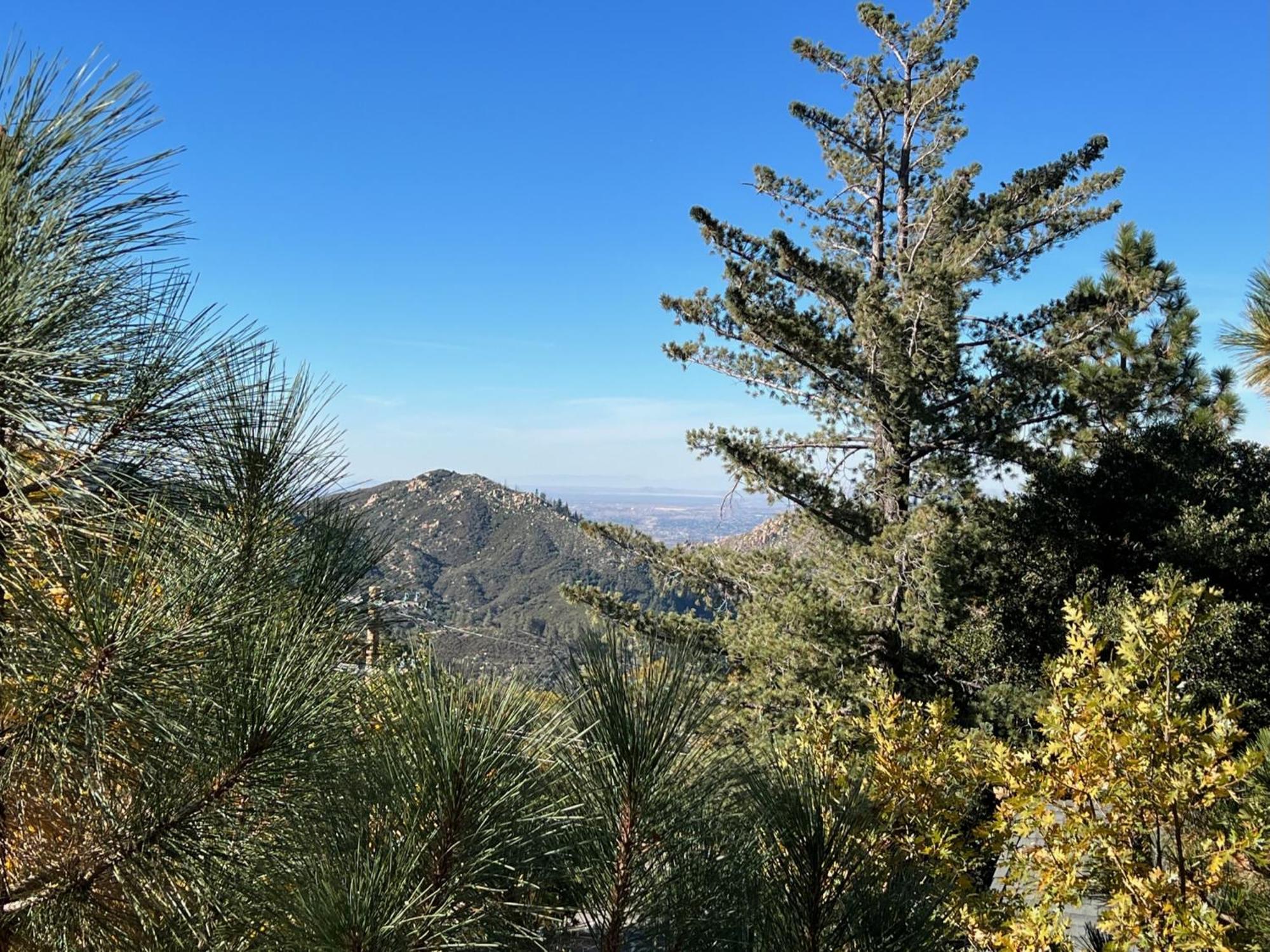 Ev Level 2, Pets Welcome At Sunset Ridge Lake Arrowhead Exterior foto
